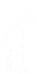 Evolution stage 2