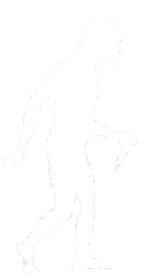 Evolution stage 3