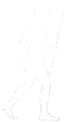 Evolution stage 4