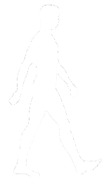 Evolution stage 5